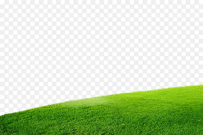 绿色草坪电脑桌面经典