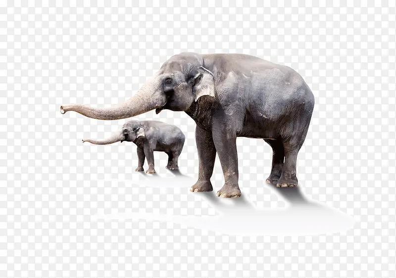 产品实物大象和小象