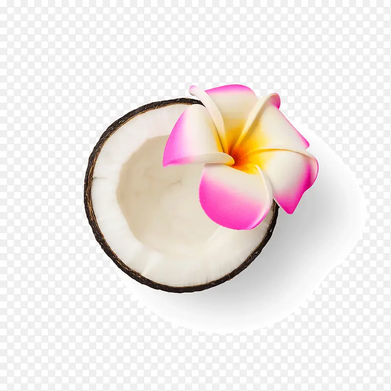 白色椰子