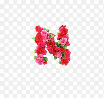 n英文字母花朵元素