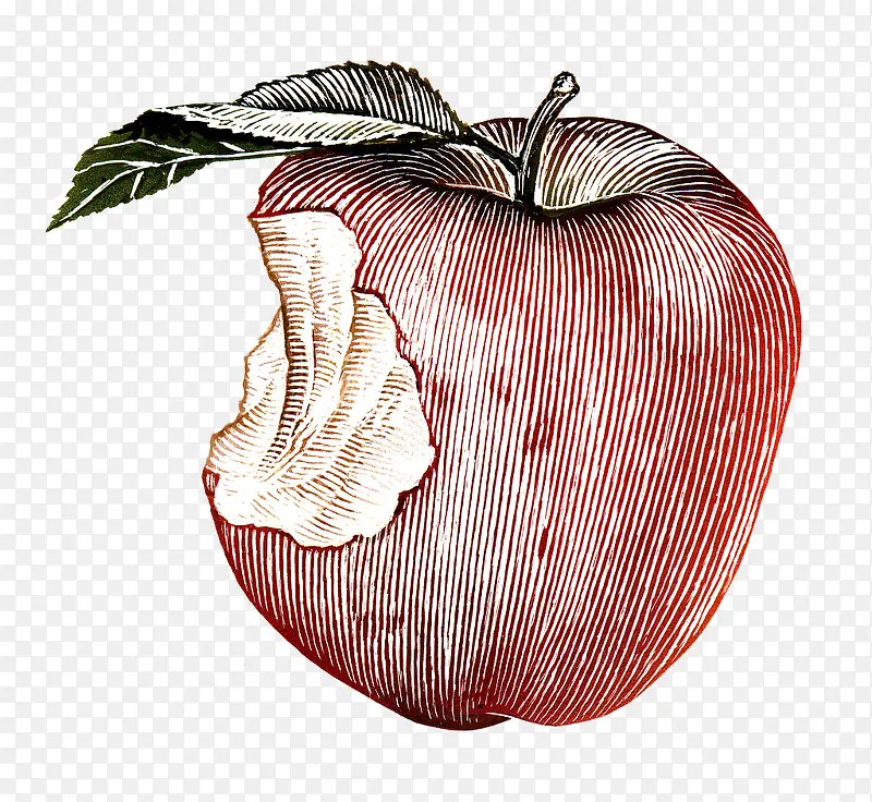 苹果手绘图
