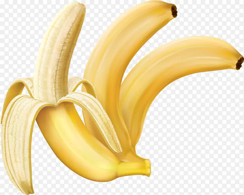 矢量三根香蕉图案