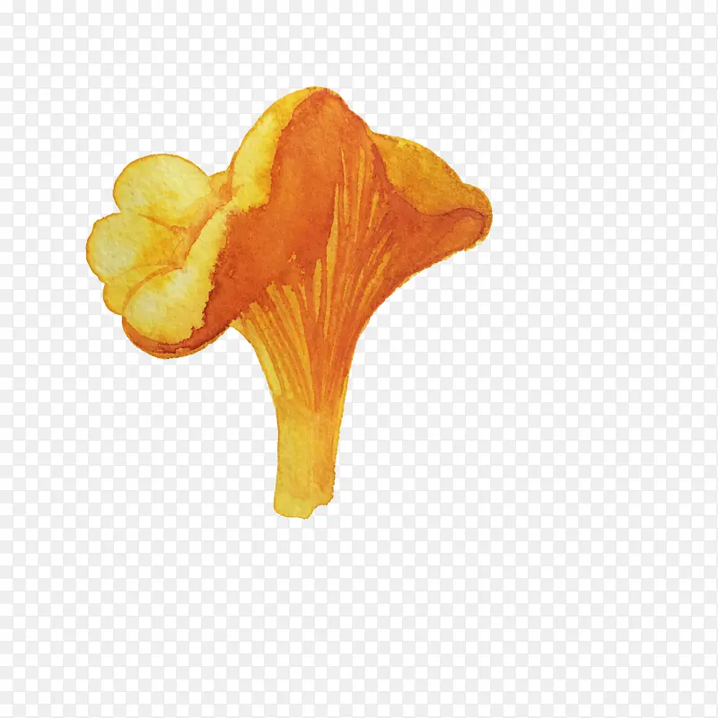 手绘黄色蘑菇