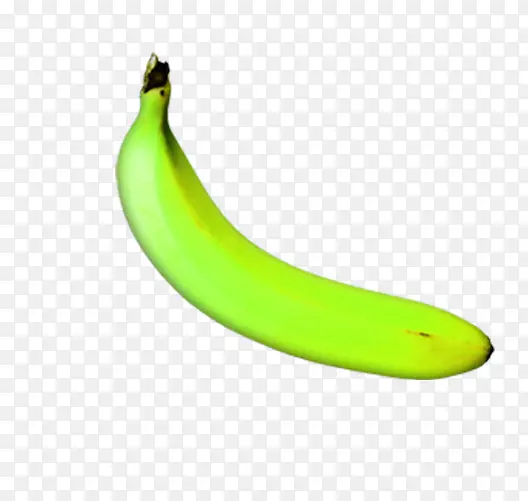 没成熟的香蕉