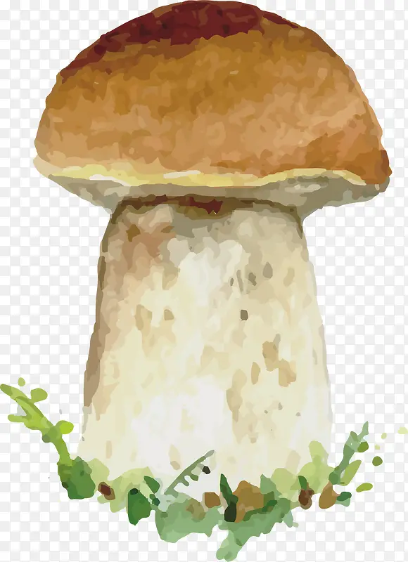 矢量手绘蘑菇