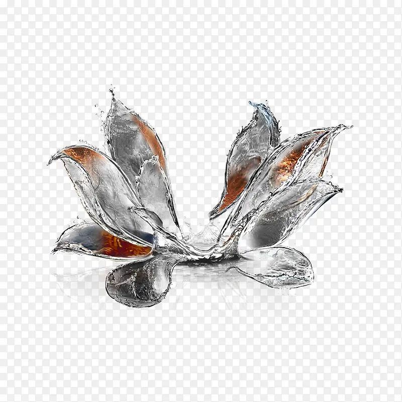 水型花瓣