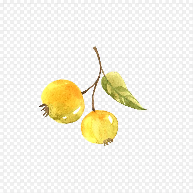 黄色果子
