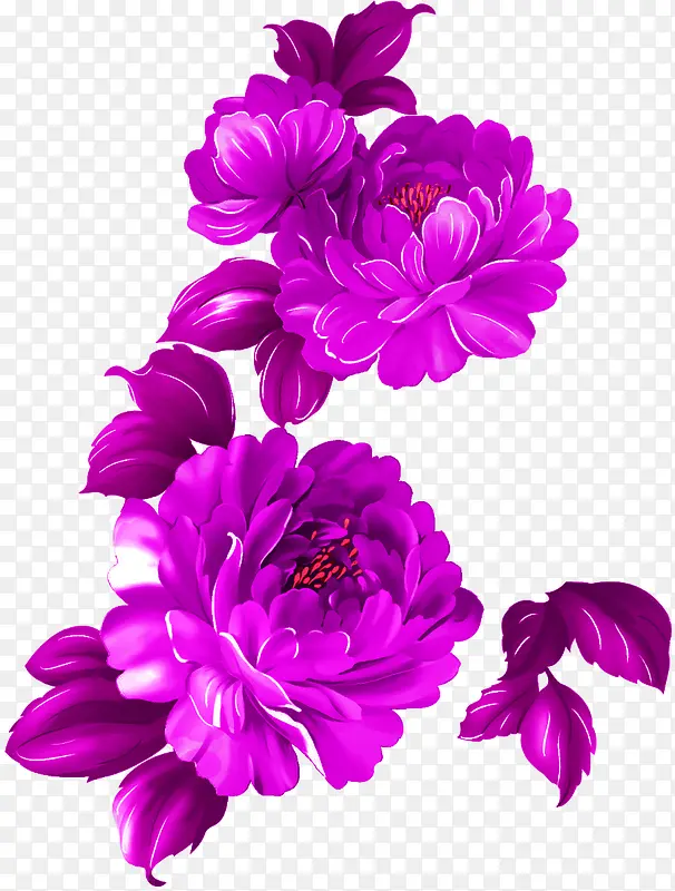 紫色牡丹花效果元素