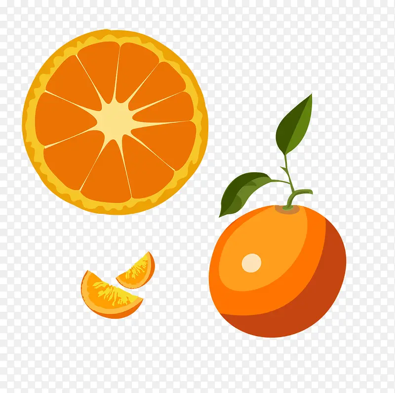 手绘橘子图案