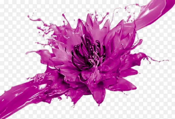创意绽放的紫色花卉