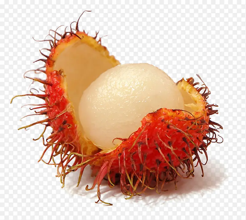 新鲜的红毛丹