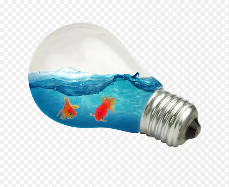 海洋灯泡