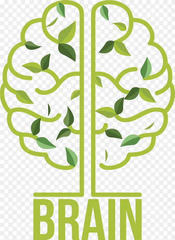 绿色线条树叶人类大脑