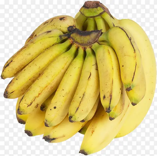 大蕉