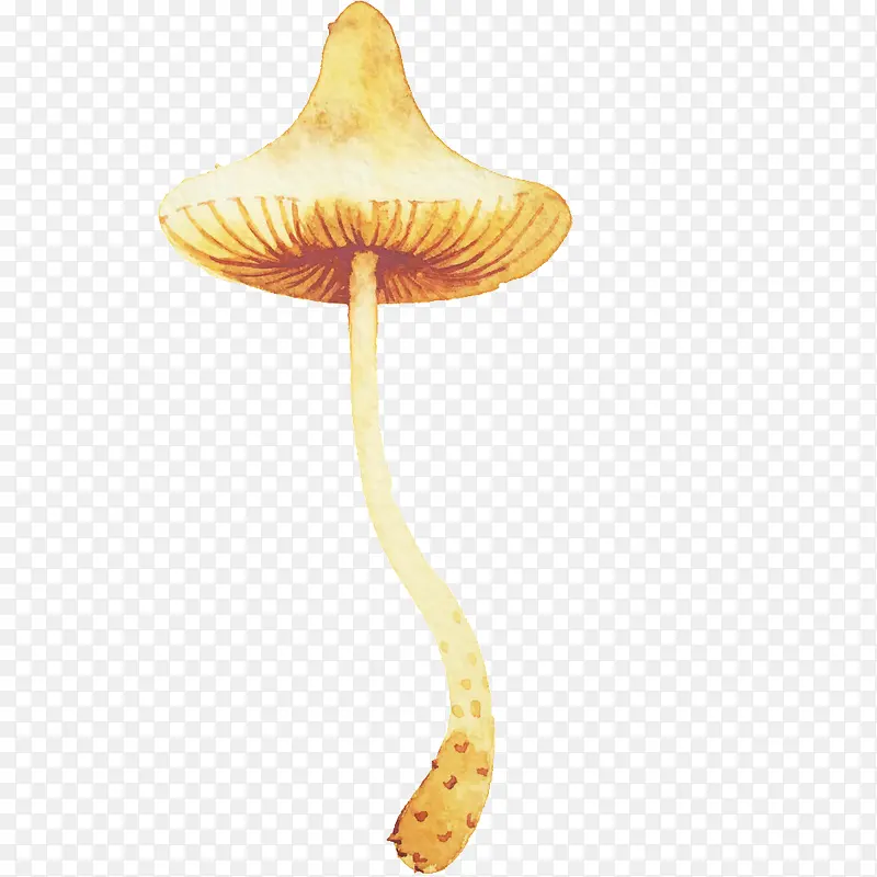 手绘水彩菌类蘑菇