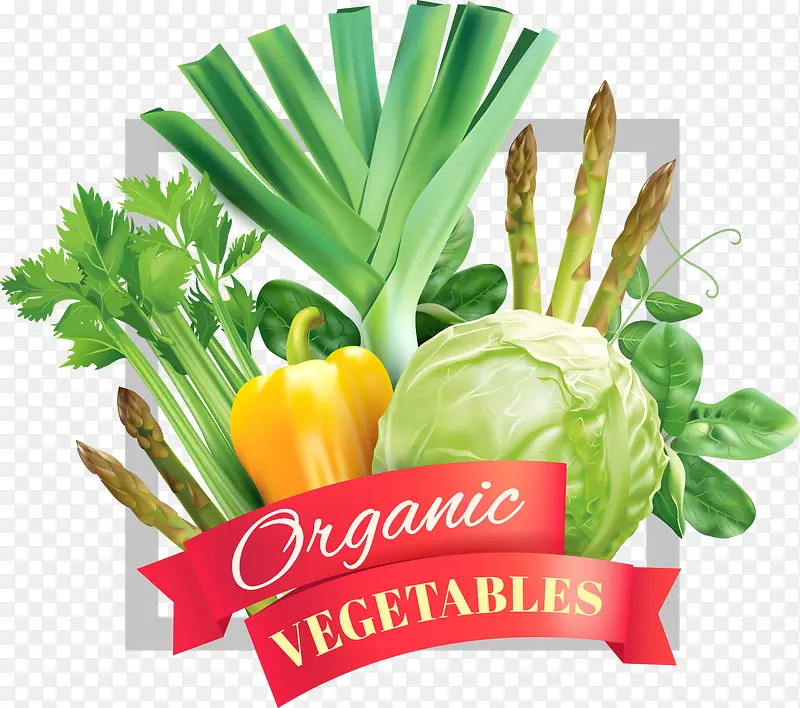 矢量写实蔬菜飘带标签