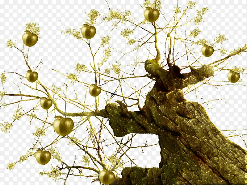 手绘金色苹果树