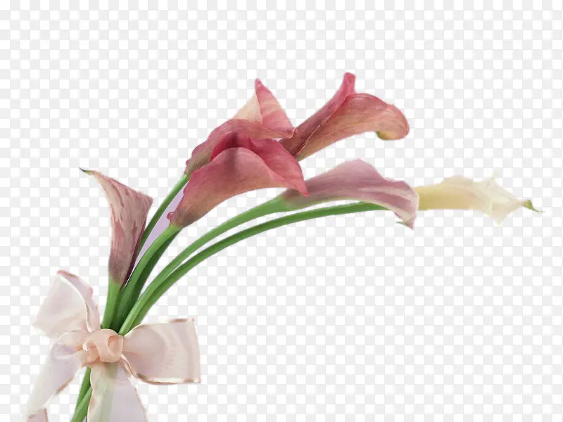 一束百合花