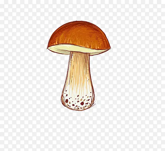 一颗小蘑菇