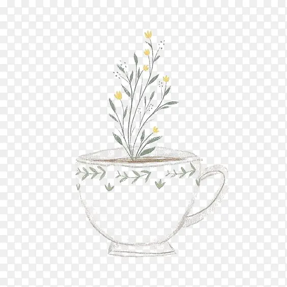 茶杯盆栽