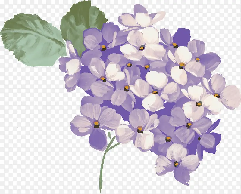 手绘紫色唯美花簇花朵