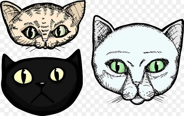 不同类型的猫鼻子