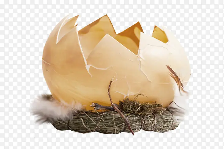 一个鸡蛋壳