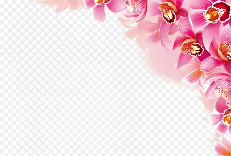 粉红花叶边框