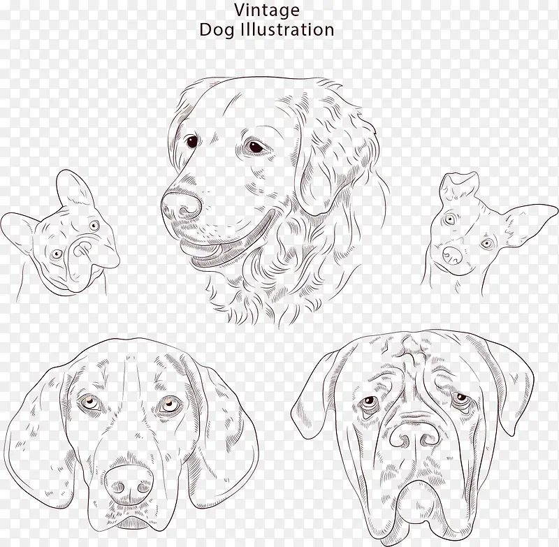 矢量图素描的各种小狗