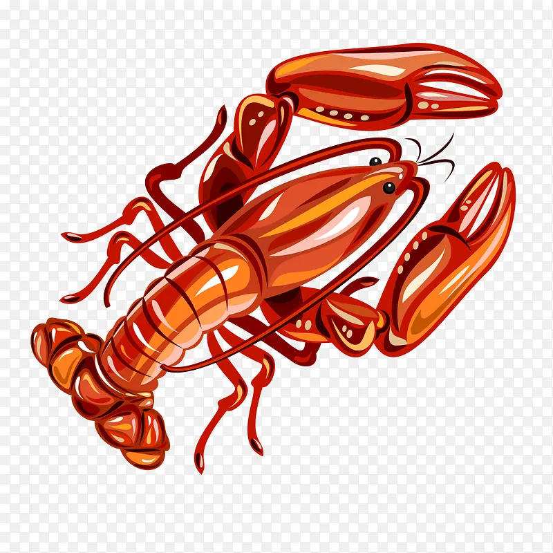 红色纹理光泽龙虾食物元素