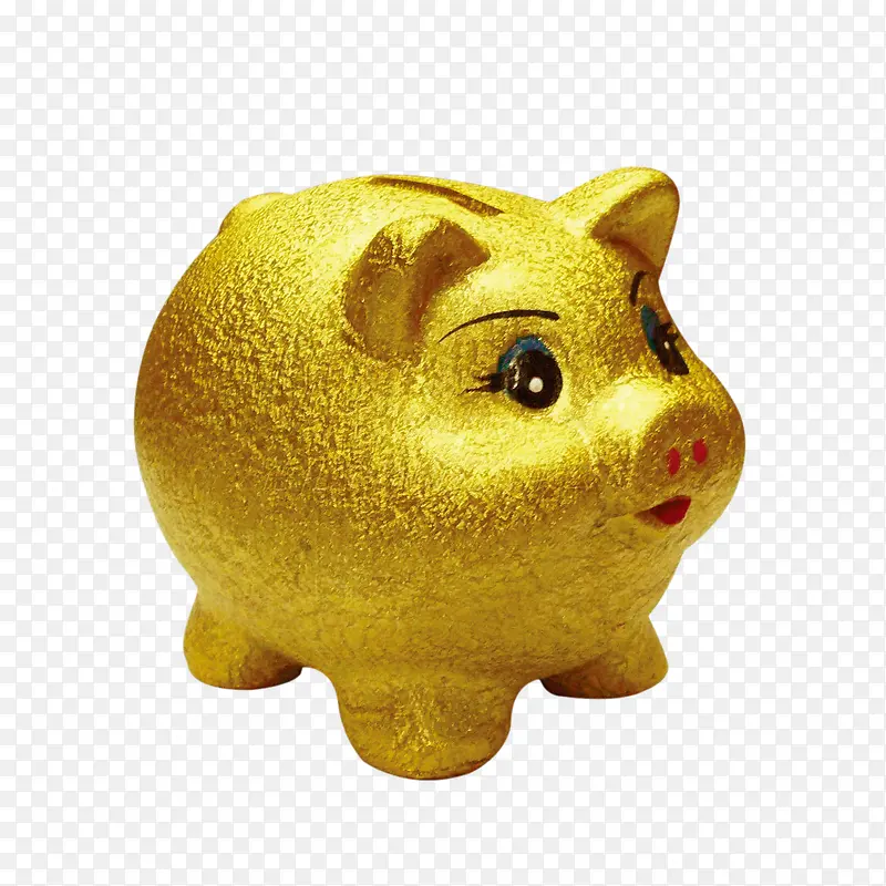 金猪
