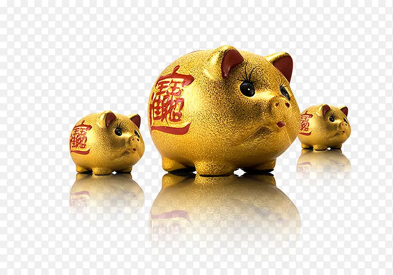 金猪