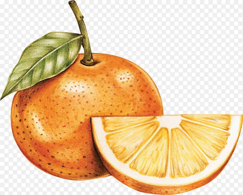 手绘风水果美味橙子