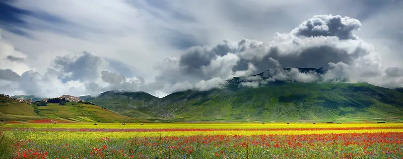 乡村田园玫瑰花banner背景