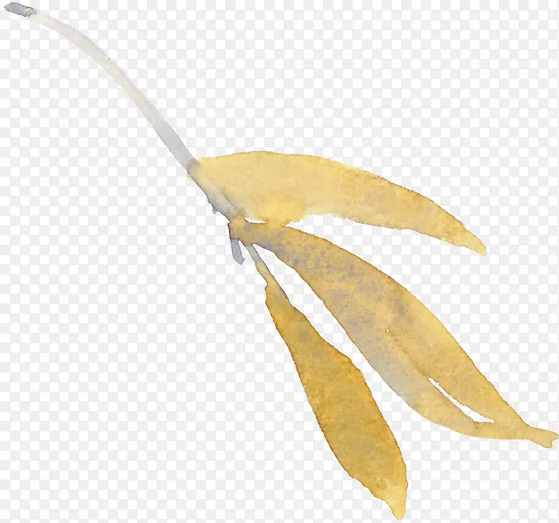 黄色水粉装饰叶子素材