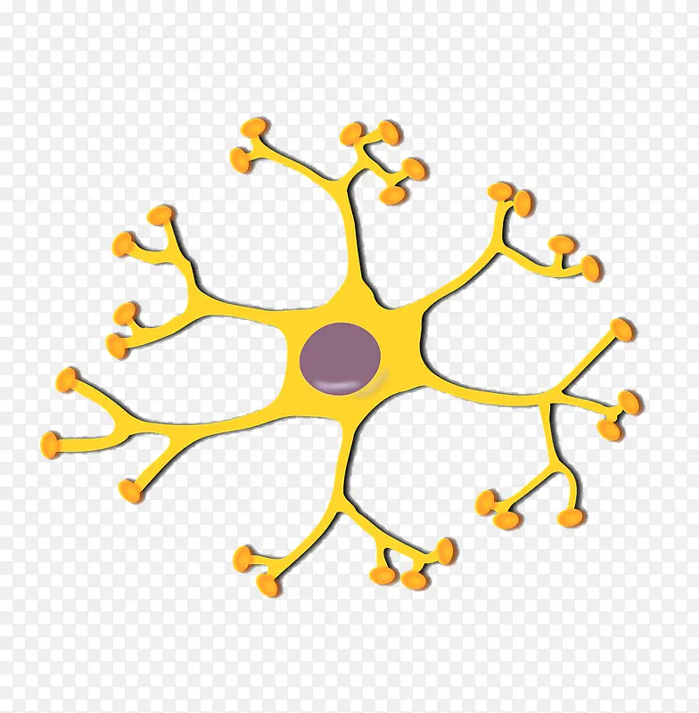 神经元结构