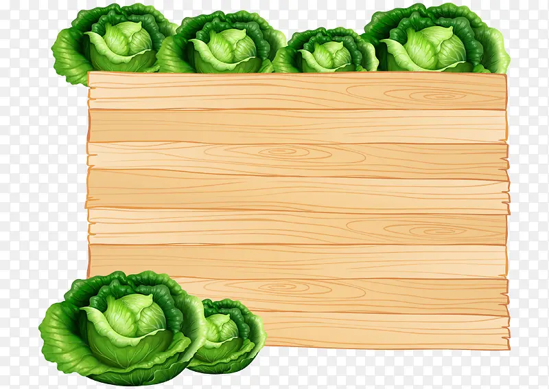 木板旁的包菜矢量图