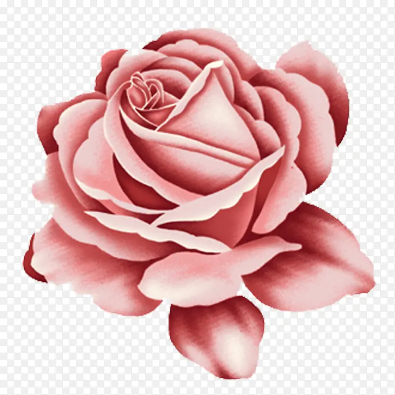 卡通手绘粉色玫瑰花朵