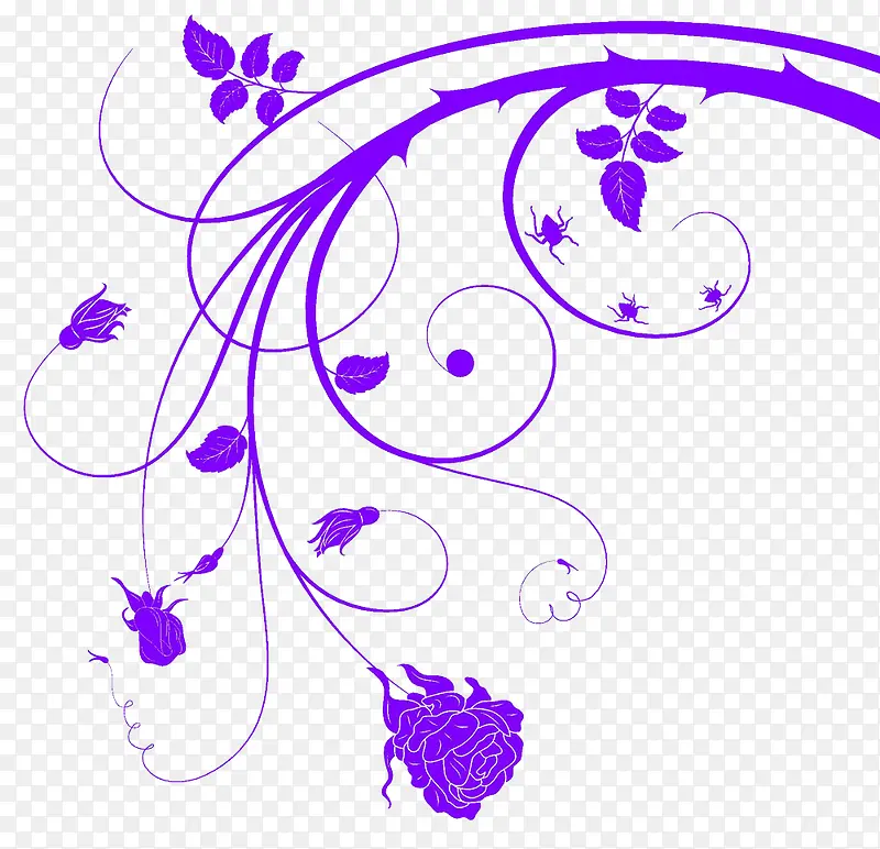 紫色印花