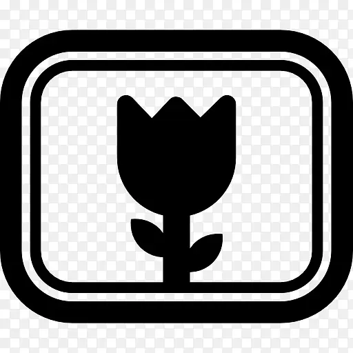 花卉照片的相机选择符号为关闭图标