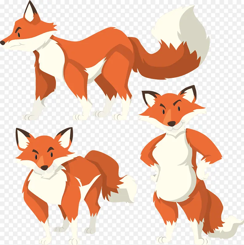 狐狸的三种形态