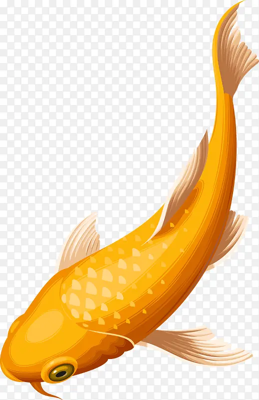 创意黄色鲤鱼png图