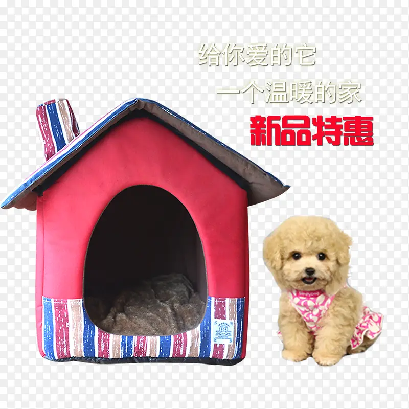宠物店宣传单