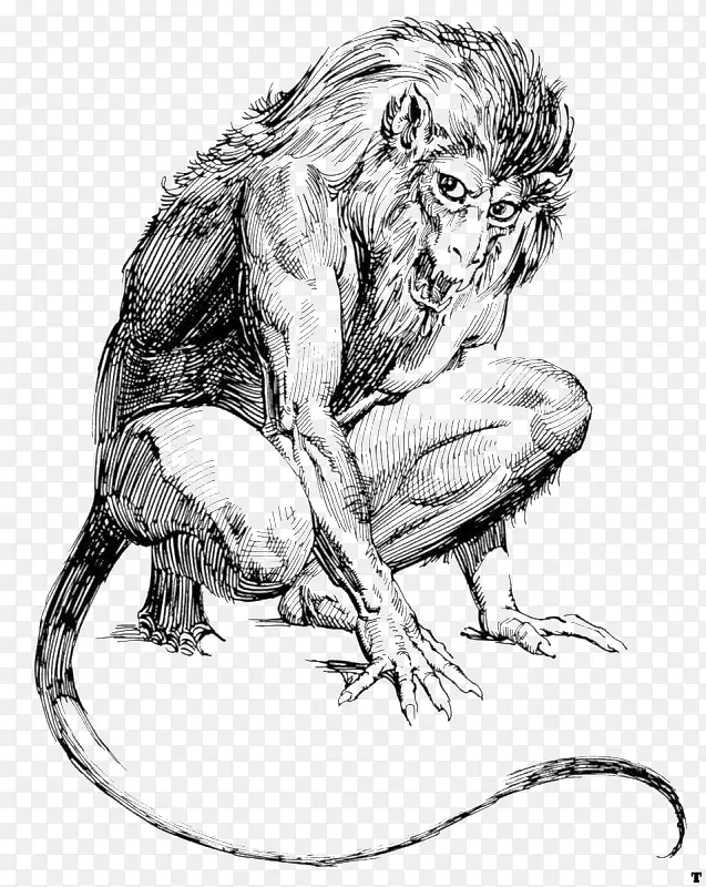狮子人像手绘线描图