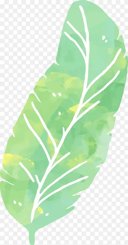 热带植物棕榈叶水彩画