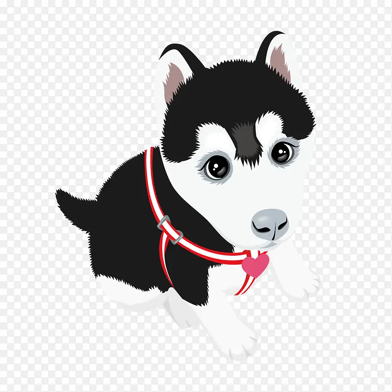 黑白毛警犬