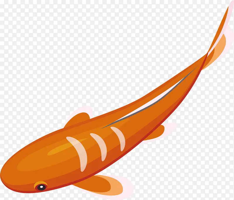 橙色鲤鱼矢量