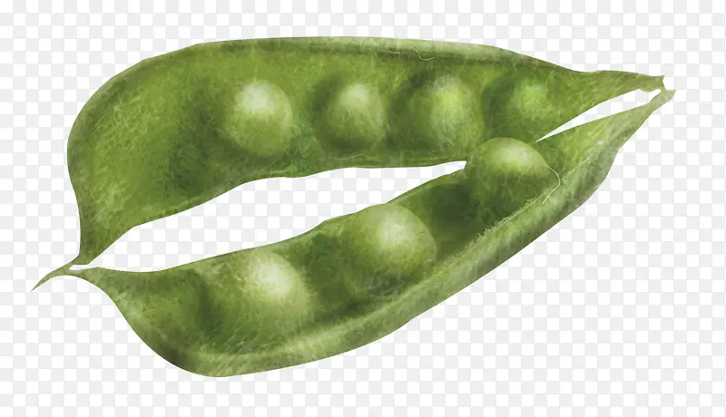 绿色卡通蚕豆