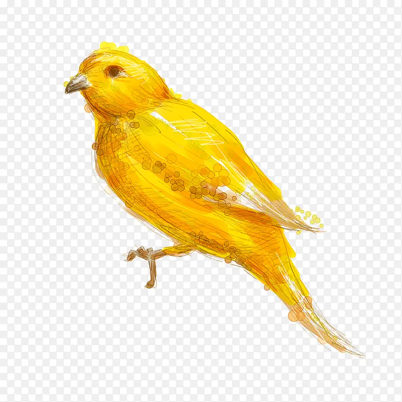 涂鸦黄色鸟类