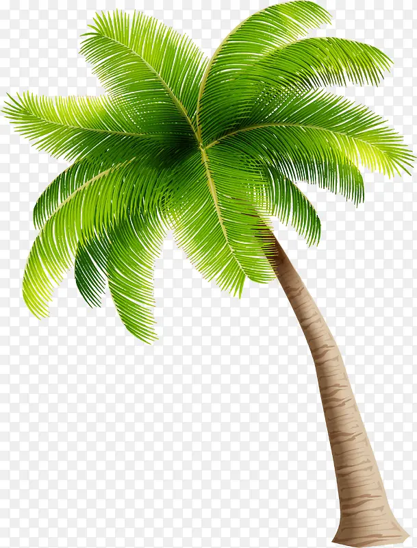 简约绿色椰树